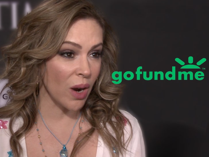 Alyssa Milano Dragged for Trying to Fundraise for Son’s Baseball Journey