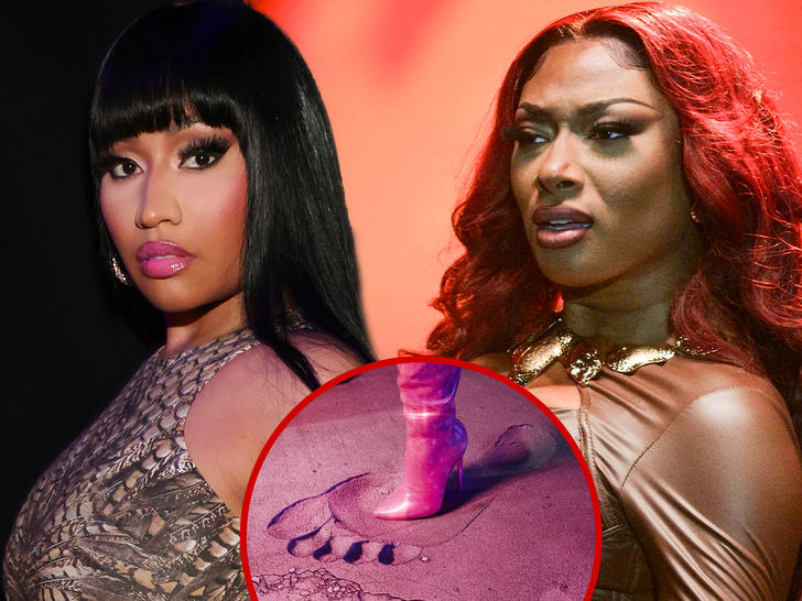 Nicki Minaj Set to Launch Obvious Megan Thee Stallion Diss Monitor