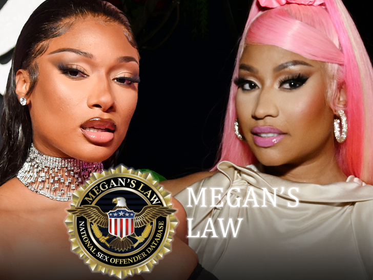 Megan Thee Stallion’s ‘Megan’s Legislation’ ‘Hiss’ Line Blasted by Kanka Household
