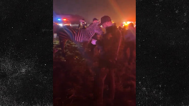 Cops Rescue Circus Animals On Indiana Freeway After Semi-Truck Fireplace