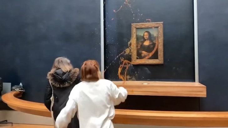 Mona Lisa hit by Protesters Who Threw Soup on Famed Portray at Louvre