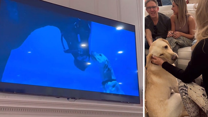 Kate Hudson & Goldie Hawn Have a good time Household Canine for Being in Tremendous Bowl Advert