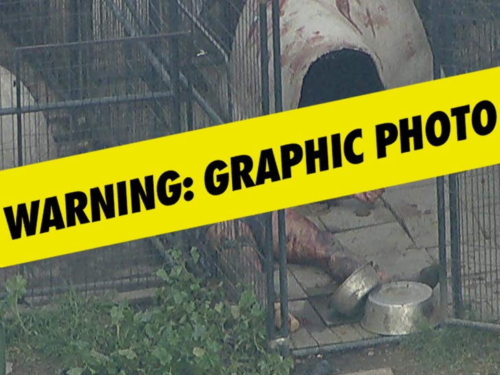 Pit Bulls Maul Man to Loss of life in Compton, Physique Present in Kennel