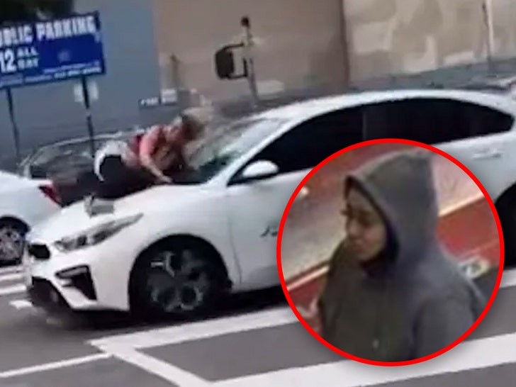 Viral Dognapping Suspect Arrested For Theft, Canine Nonetheless Lacking