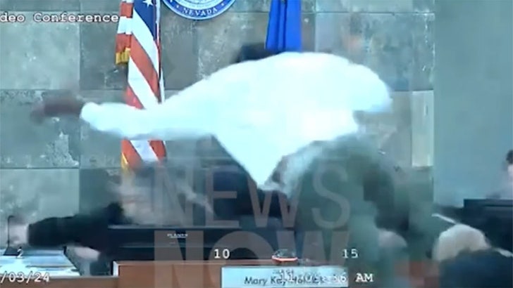 Las Vegas Decide Recounts Horrifying Courtroom Assault by Acrobatic Assailant