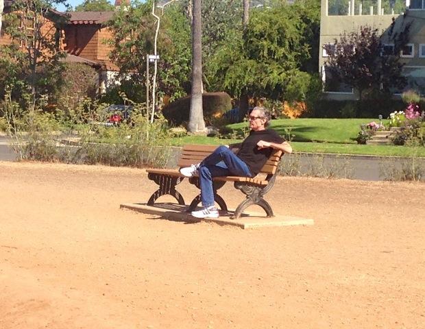 Pulitzer-Successful LA Occasions Music Reporter Was 71