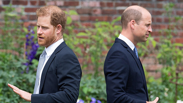 Prince William Reportedly Experienced a ‘Degree of Jealousy’ Amid Prince Harry’s Invictus Games Success