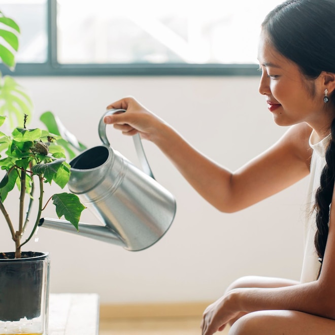 Must-Have Plant Accessories for Every Kind of Plant Parent