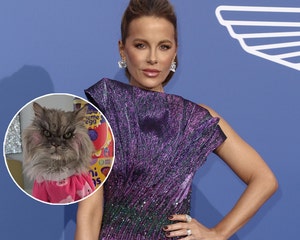 Kate Beckinsale Worries Followers after Sharing Footage from Hospital Mattress