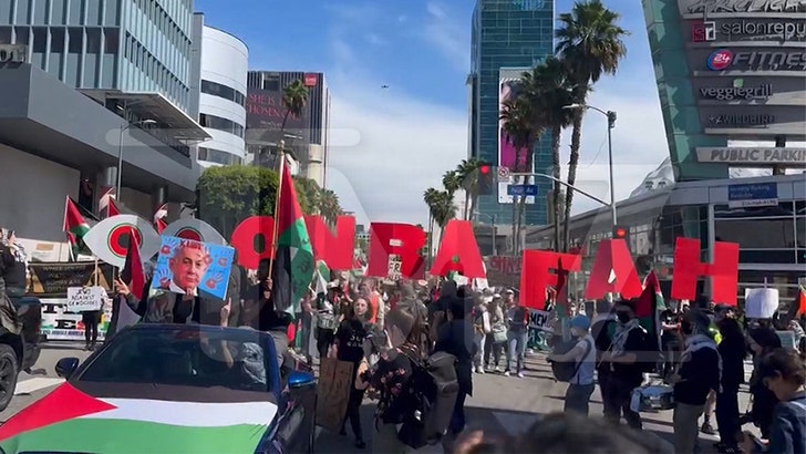 Professional-Palestine Protest Overtakes Streets of L.A. Forward of Oscars
