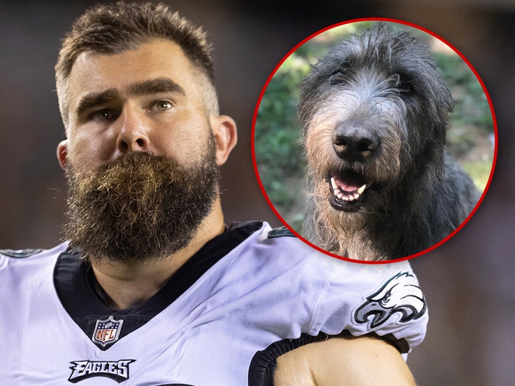 Jason Kelce’s Beloved Canine, Winnie, Dies