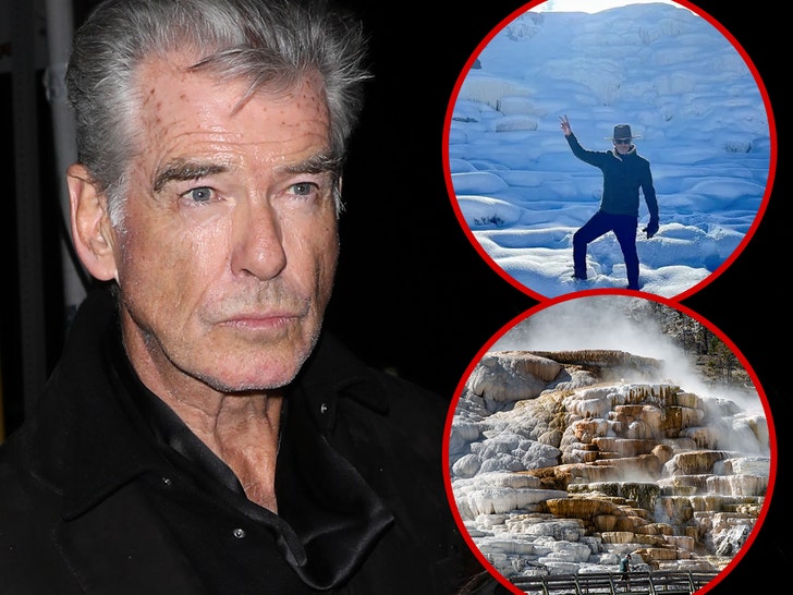 Pierce Brosnan Pleads Responsible to Unlawful Mountain climbing Cost in Yellowstone Case