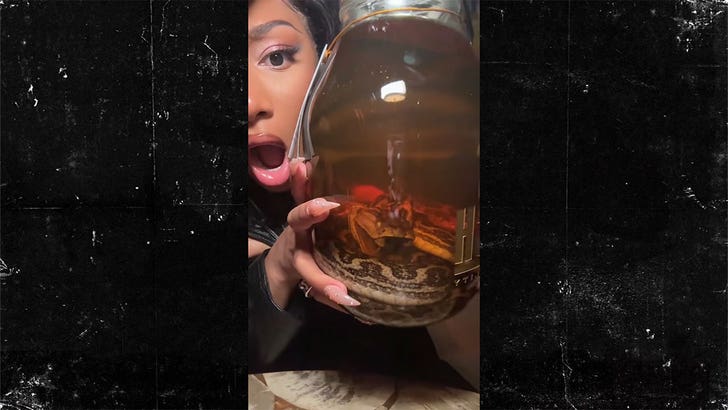 Megan Thee Stallion Drinks Booze From Snake-Crammed Bottle In Japan