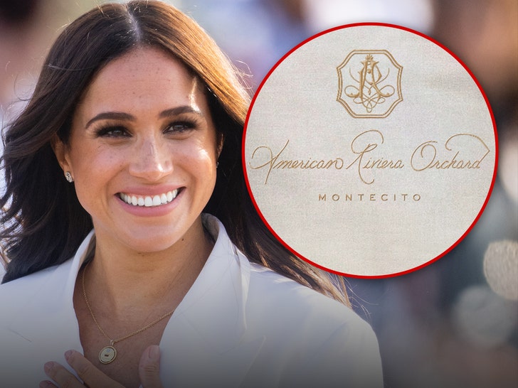 Meghan Markle Launches New Life-style Model, Needs to Promote Numerous Stuff