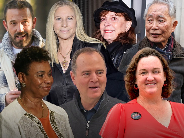 Ben Affleck, Barbra Streisand, Different Celebs Donate Large in CA Senate Race