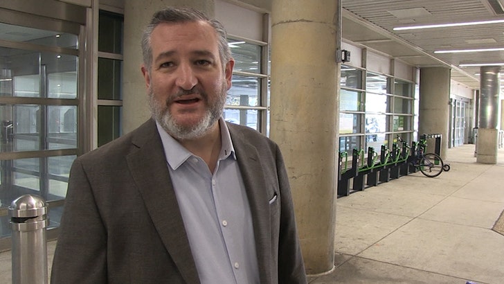 Senator Ted Cruz Calls Hollywood ‘Out of Contact,’ Democrats ‘Coastal Elites’
