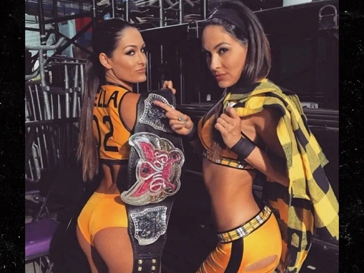 Nikki and Brie Garcia Sizzling Photographs To Have a good time Their forty first Bday!