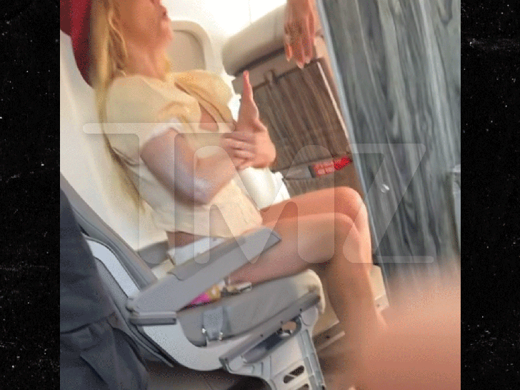 Britney Spears Non-public Jet Photograph Reveals Singer Raveled and Distressed