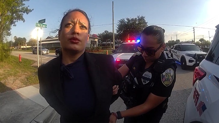 Uber Driver Arrested for Allegedly Pointing Gun at Rapper in Viral Video, on Physique Cam