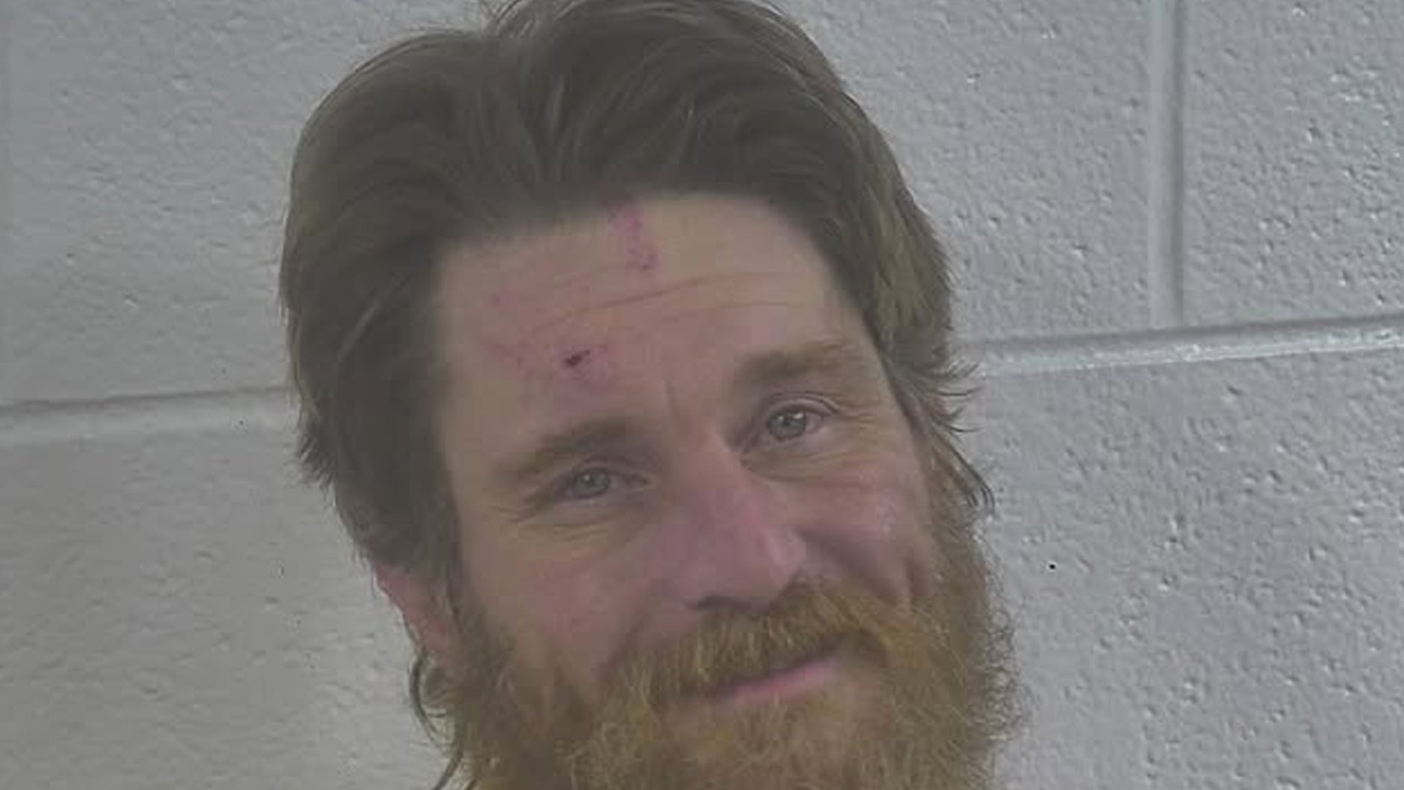 Kentucky Man Launched Raccoon in Bar, Animal Bit Worker: Police