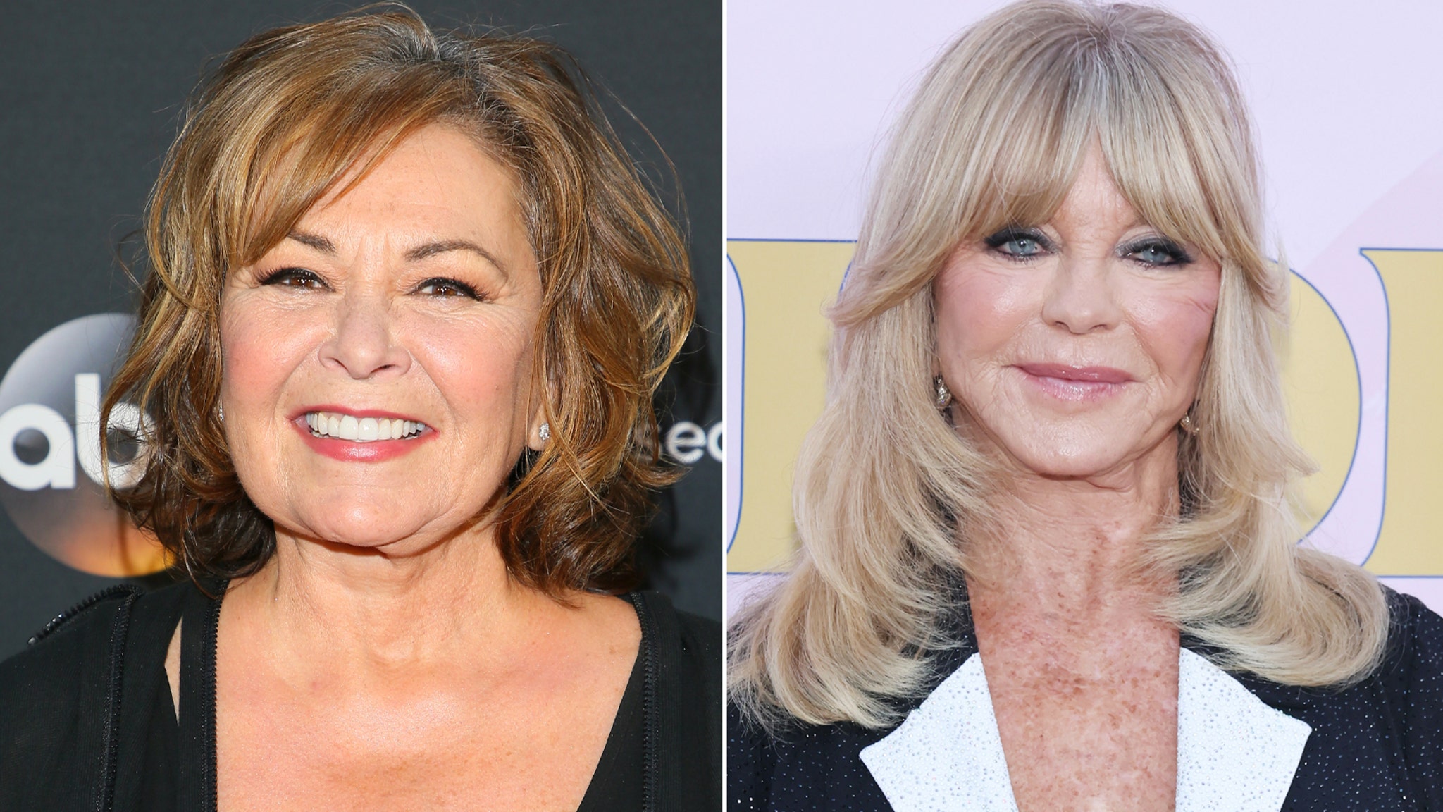 Why Daughter Roseanne Barr Gave Up for Adoption Thought Goldie Hawn Was Her Mother