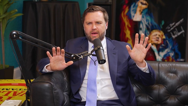 JD Vance Says Elon Musk’s Beef with Donald Trump is a ‘Large Mistake’