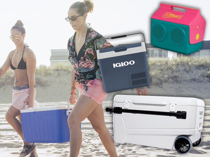 Amazon Offers On Seashore Coolers and Backpacks