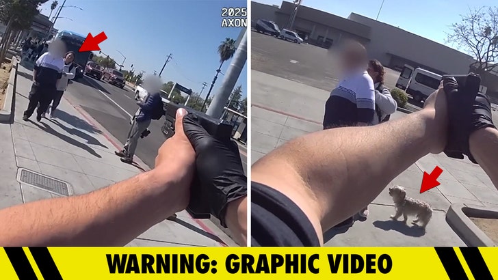 Cute Canine Survives Lethal Police Concerned Taking pictures in California, Video Reveals