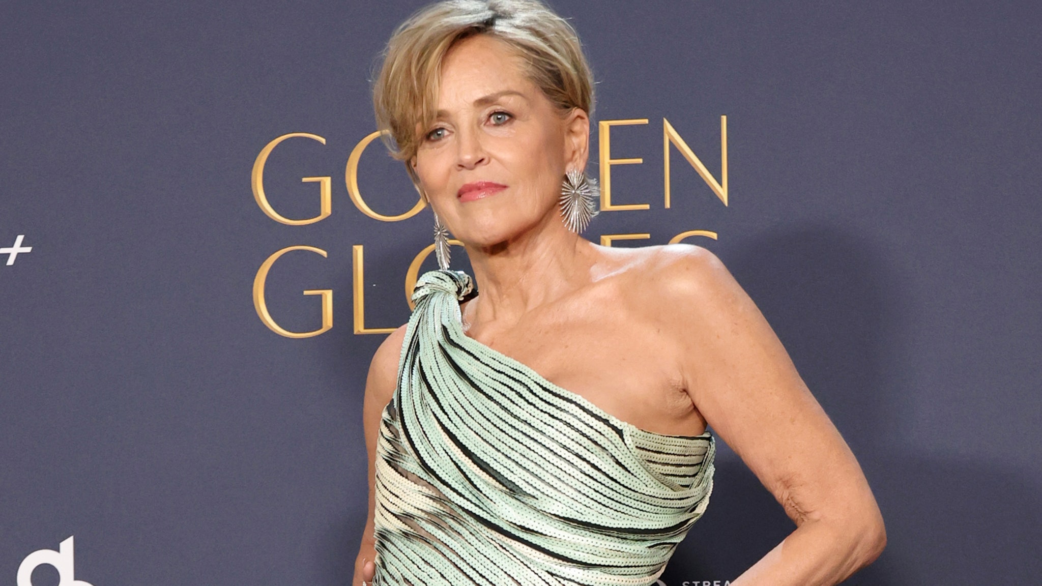 Sharon Stone Says She Was Booted from Two Roles In ‘One other Easy Favor’