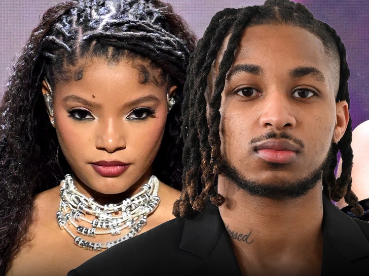DDG Recordsdata Movement to Forestall Halle Bailey From Taking Son Out of Nation