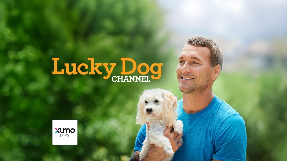 ‘Fortunate Canine’ FAST Channel to Launch on Xumo Play