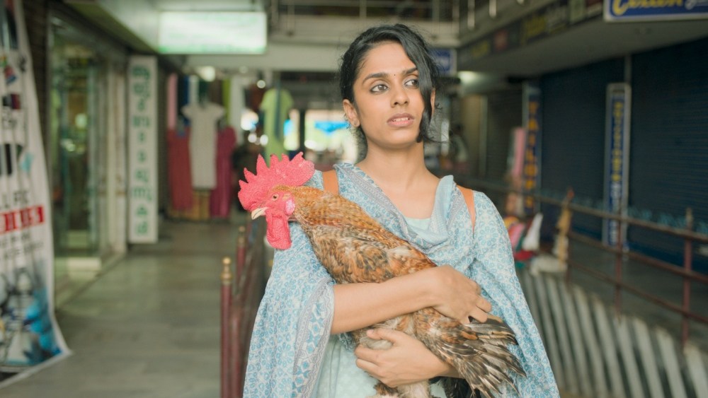 ‘Victoria’ Director Talks Shanghai Fest Choice, Rooster Inspiration