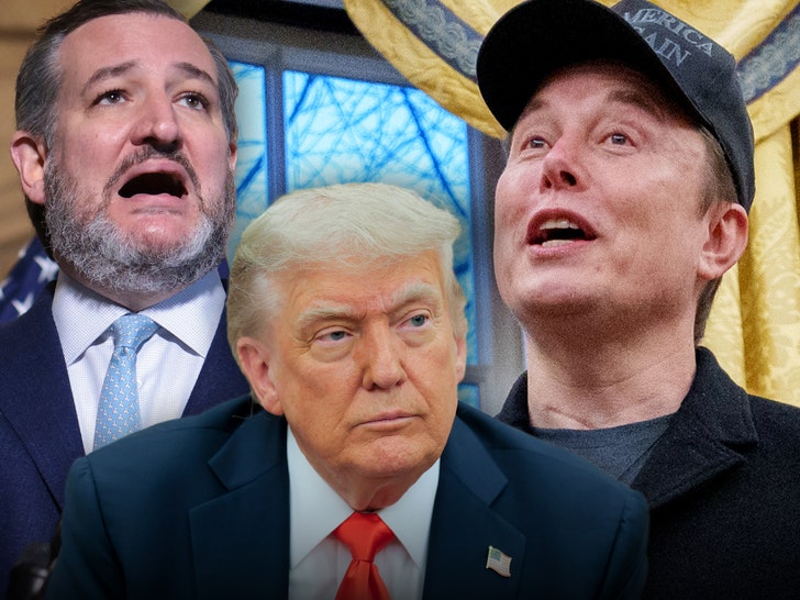Ted Cruz Says He Was With Donald Trump Throughout Elon Musk X Assault