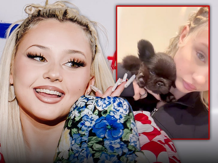 Alabama Barker Shares Video of New French Bulldog Pet