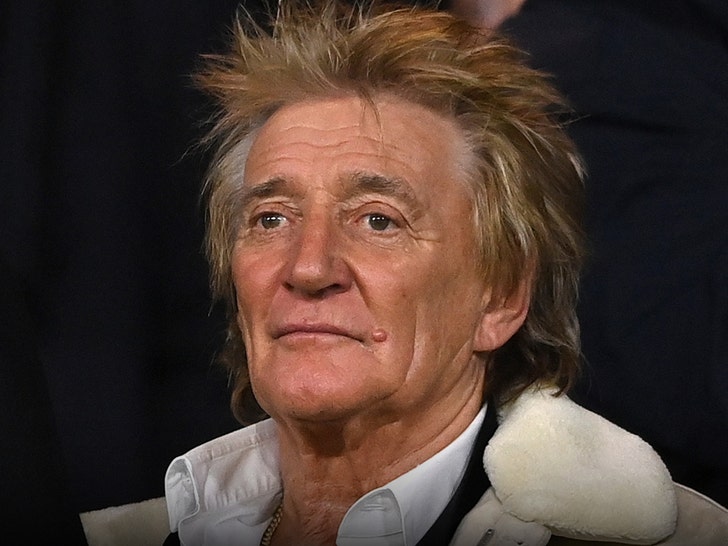 Rod Stewart Postpones West Coast Tour Dates Amid Well being Struggles