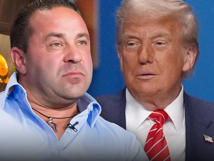 Joe Giudice Begs Donald Trump to Pardon Him, Let Him Go to U.S.A. Once more
