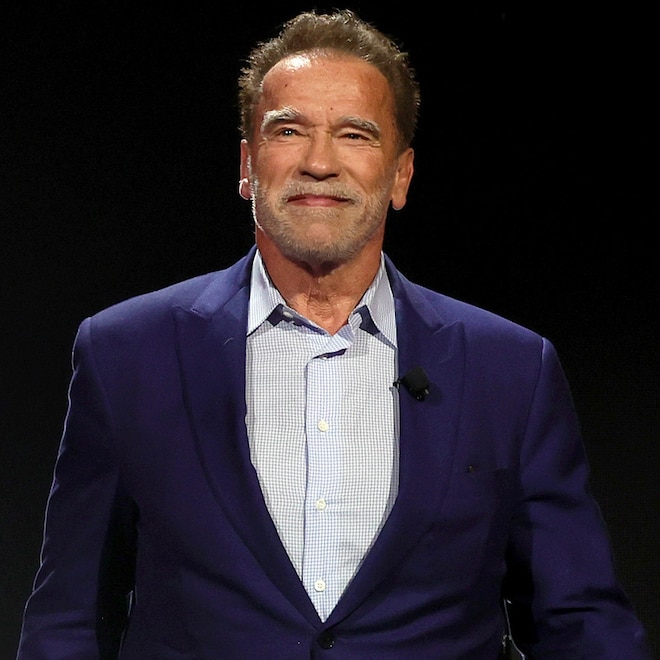 Arnold Schwarzenegger Reveals the Film That Led to Biggest Payday