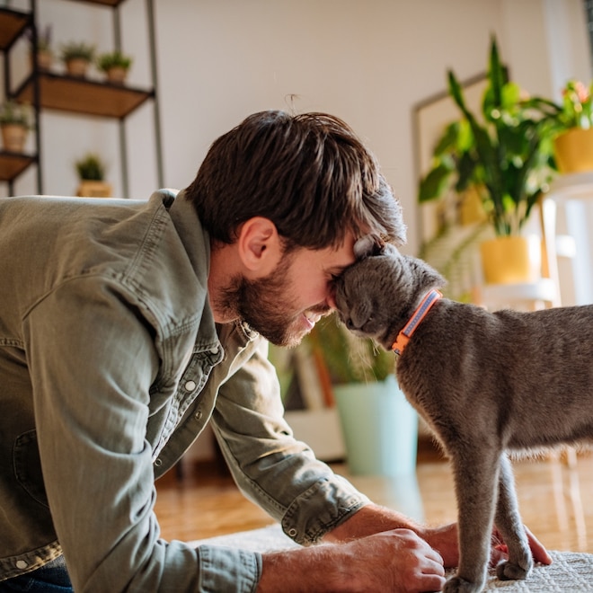 Best Father’s Day Gifts for Cat Dads of 2024 That’re Purr-Fection