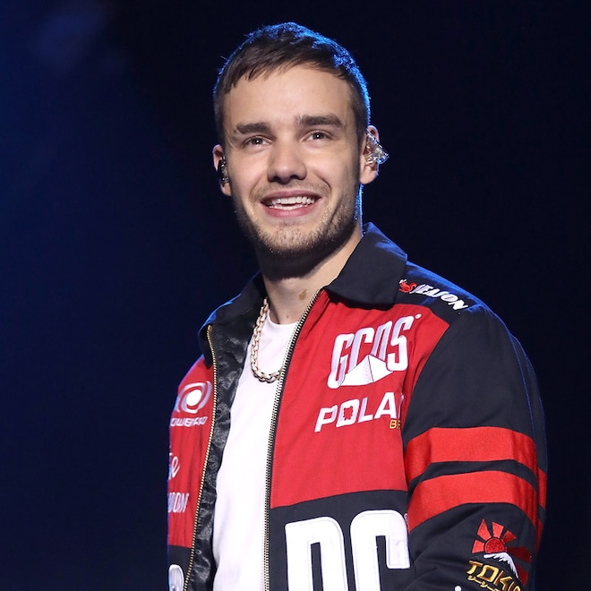 See Liam Payne’s Final TV Appearance in Building the Band Trailer