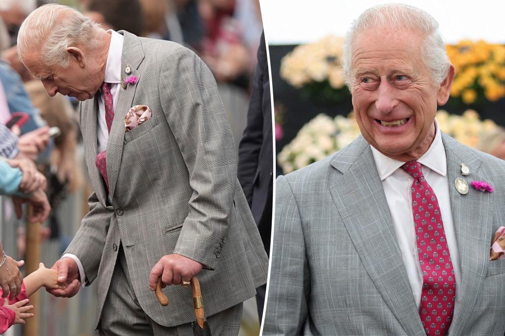 King Charles offers uncommon replace on well being after most cancers analysis