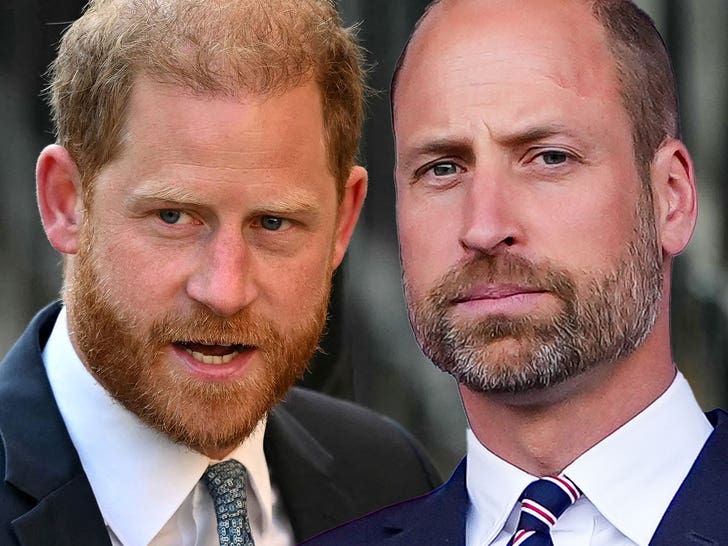 Prince William and Prince Harry’s 20-12 months-Outdated Cousin Discovered Lifeless With Gun Close by