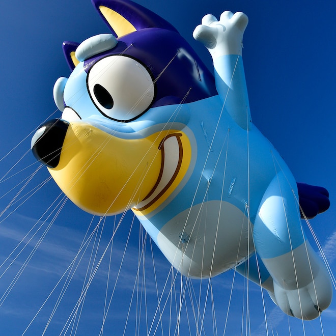 Why a Bluey Episode Was Temporarily Removed