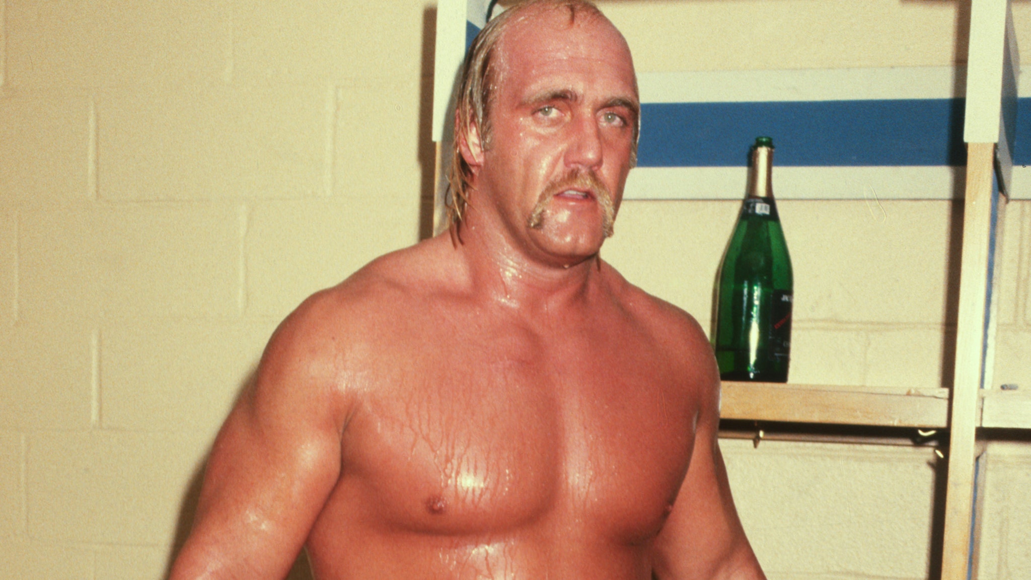 Hulk Hogan Profession Retrospective: ‘Hulk-a-Mania’ to MAGA Fanatic