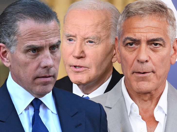 Hunter Biden Rips George Clooney For Criticizing Joe, Unloads on Democrats