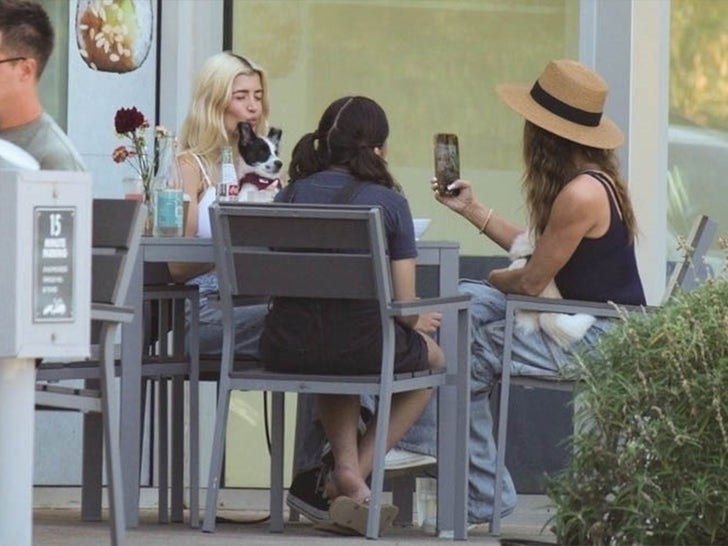 Denise Richards Steps Out with Daughters Amid Allegations from Estranged Husband