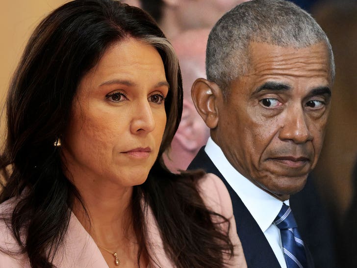 Tulsi Gabbard Threatens Obama Admin With Prison Referrals Over ‘Treasonous Conspiracy’