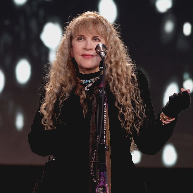 Stevie Nicks Postpones Tour for 2 Months Due to Shoulder Injury