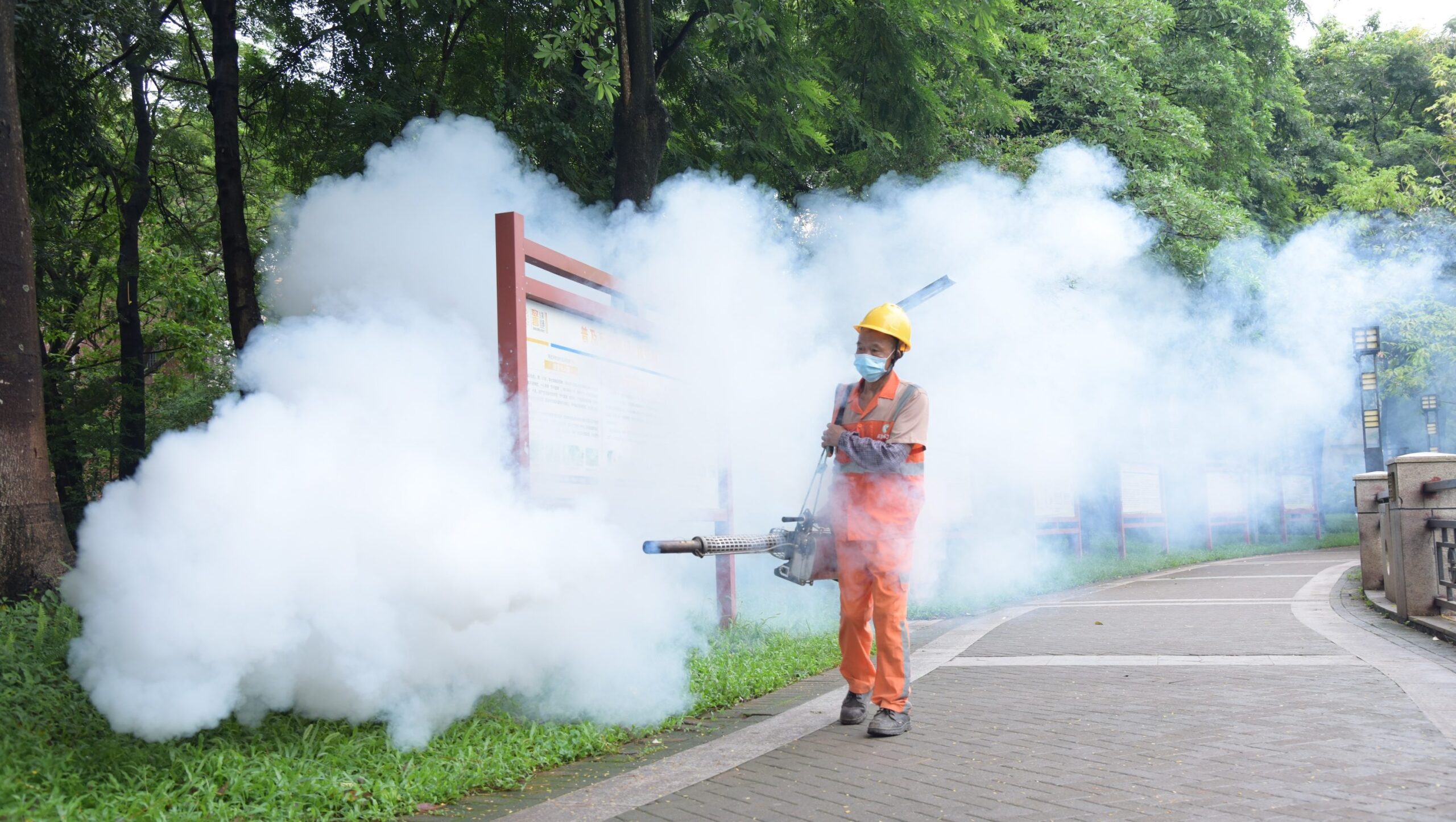 Chikungunya Virus in China: Updates on the Outbreak