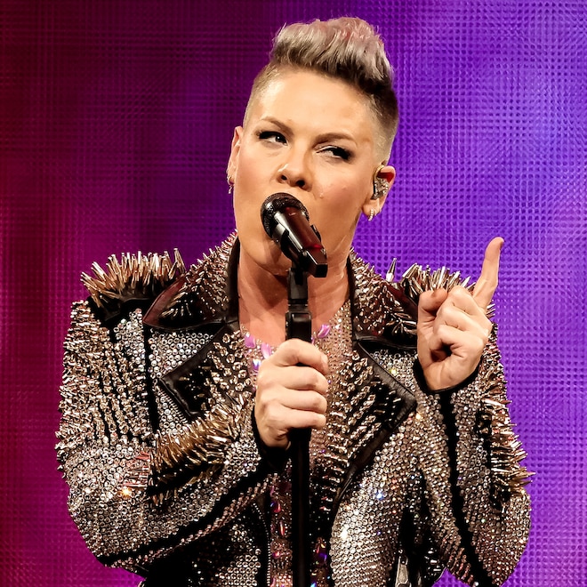 Pink & Carey Hart’s Kids Look So Grown Up in Rare Family Photo