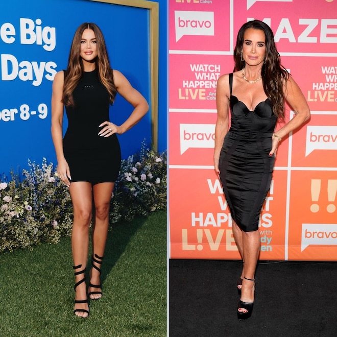 Dog Hair Everywhere? This Celeb-Loved Pet Hair Remover Is On Sale Now